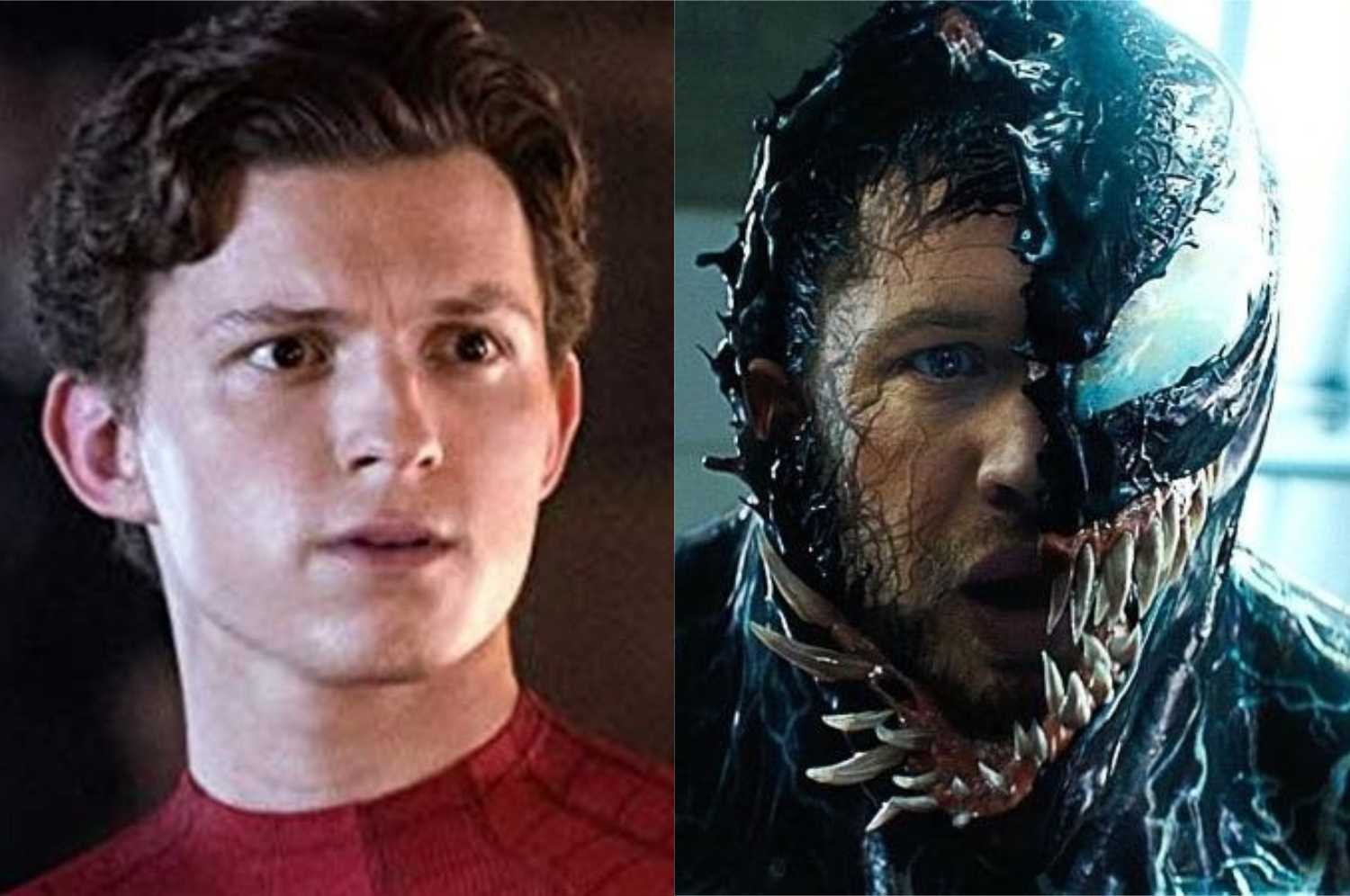 À esquerda, Tom Holland como Homem-Aranha; à direita, Tom Hardy como Venom (Imagem: Divulgação/Sony Pictures | Marvel)