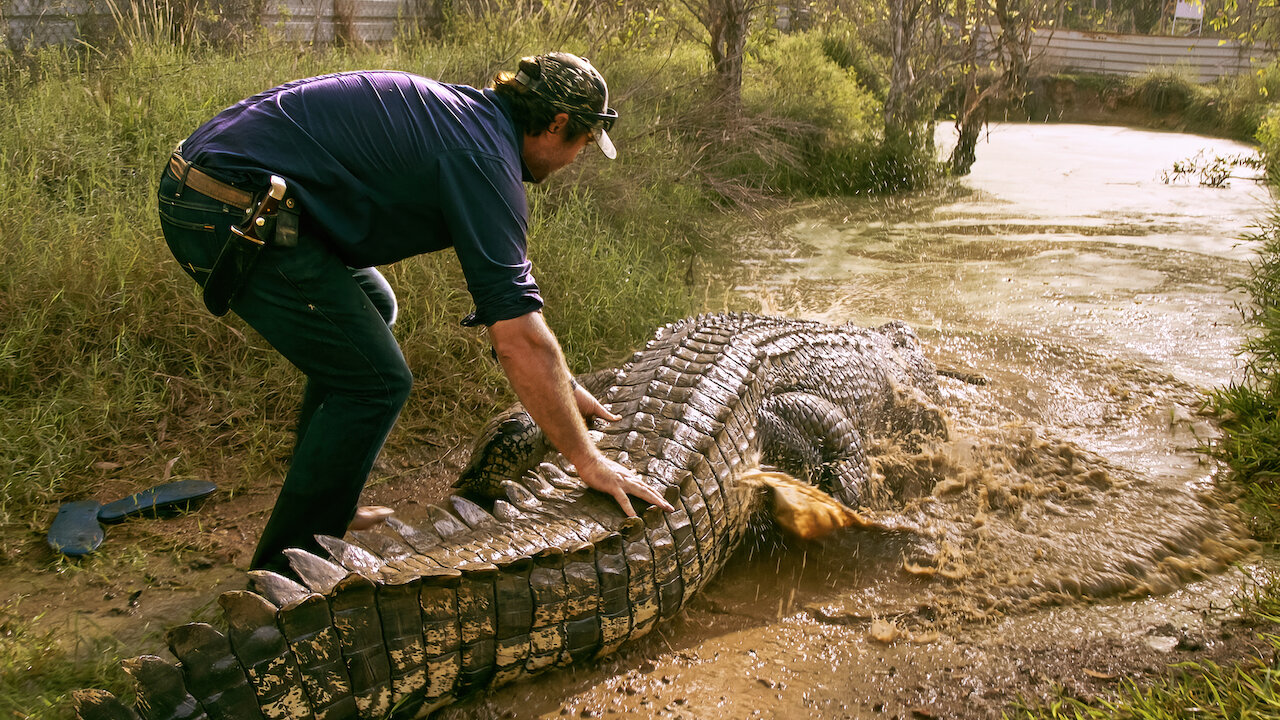 por-que-terra-dos-crocodilos-esta-fazendo-tanto-sucesso-na-netflix-entenda