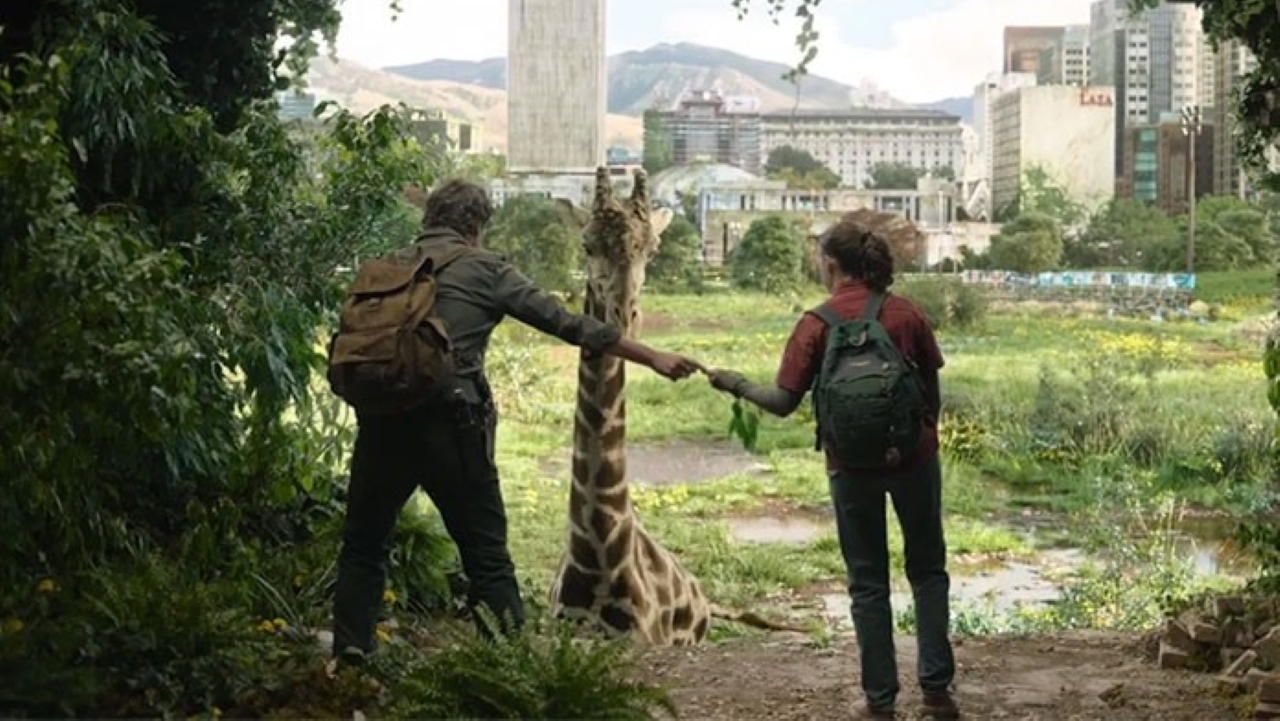 Joel (Pedro Pascal) e Ellie (Bella Ramsey) se aproximam de uma girafa em The Last of Us (Reprodução / HBO)