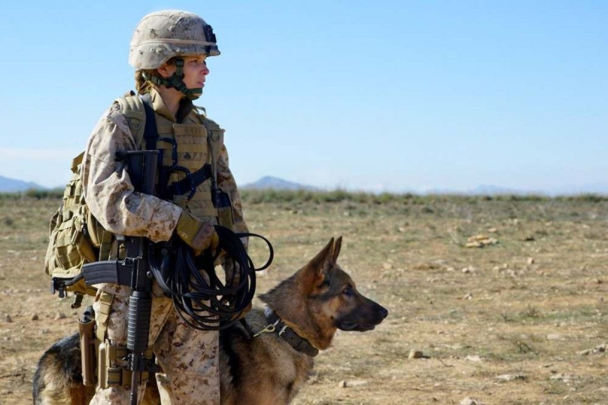 megan leavey filme